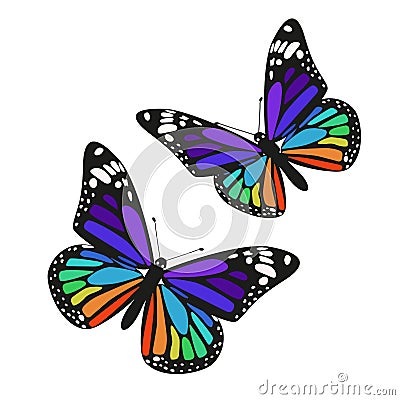 Set of two rainbow butterflies isolated on a white background. Vector graphics Stock Photo