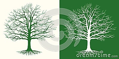 Set of two silhouettes of a bare tree . Vector illustration. Vector Illustration