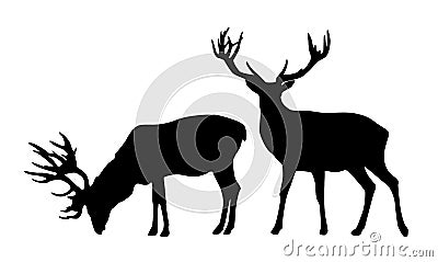 Set of two standing deer vector black silhouettes isolated on white background Vector Illustration