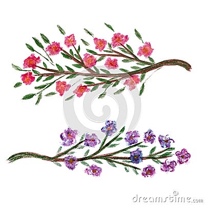 Set of two watercolor illustration of flowering tree branch, isolated on white background. Beautiful textured clipart, spring Cartoon Illustration