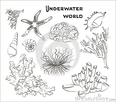 Set of underwater objects Vector Illustration