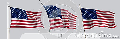 Set of USA waving flag on isolated background vector illustration Vector Illustration