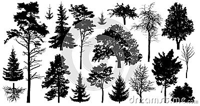 Set of a variety of forest trees. Isolated on white background. Collection of silhouette vector illustration Vector Illustration