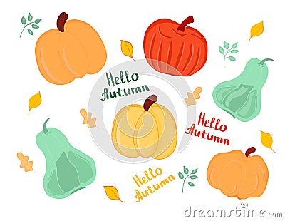 Set of various colored pumpkin. Thanksgiving and Halloween elements for design Vector Illustration