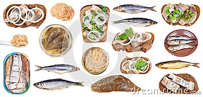 Set of various cooked and raw herring fish and roe Stock Photo