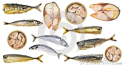 Set of various cooked and raw mackerel fishes Stock Photo