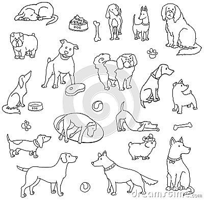 Set of various dogs Vector Illustration