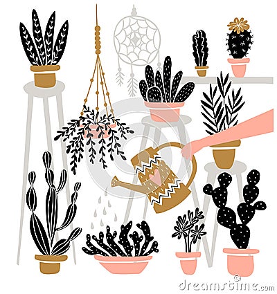 Set of various indoor potted plants in boho interior . Great for gardening magazines , flower store. Vector illustration. Vector Illustration