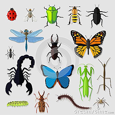 Set of Various Insects Design Flat Vector Illustration