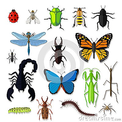 Set of Various Insects Design Flat Vector Illustration