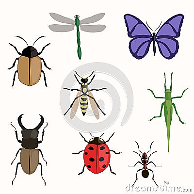 Set of various insects Vector Illustration