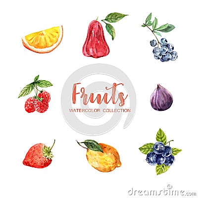 Set of various isolated watercolor fruit illustration on white background Cartoon Illustration