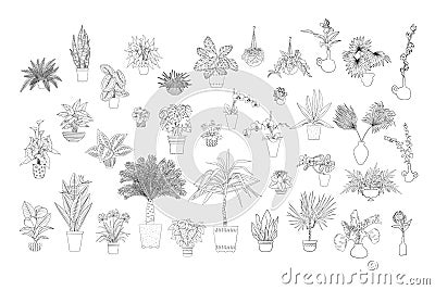 Set of various monochrome tropical house plants in planters. Black line art. Vector Illustration