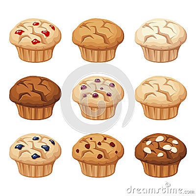 Set of various muffins. Vector illustration. Vector Illustration