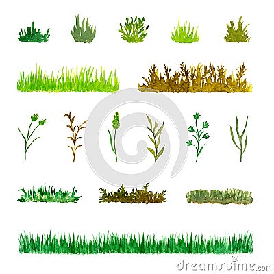 Set of Various Plant Elements Grass, Bushes, Stems, Watercolor Hand Drawn and Painted Stock Photo