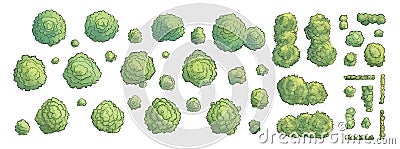 Set of various trees, bushes and shrubs, top view for landscape design plan or game design. Vector illustration in Vector Illustration