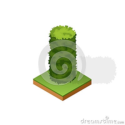 Set of various type wood isolated on white background. Green plant for isometric landscape public park or garden Stock Photo