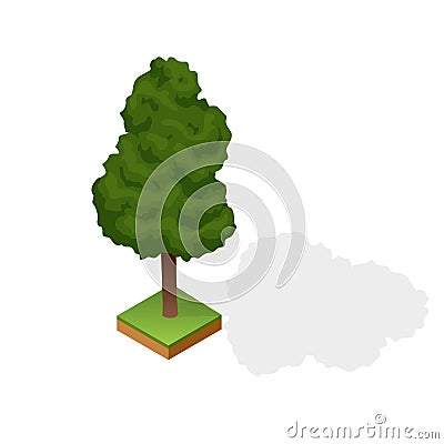 Set of various type wood isolated on white background. Green plant for isometric landscape public park or garden Vector Illustration