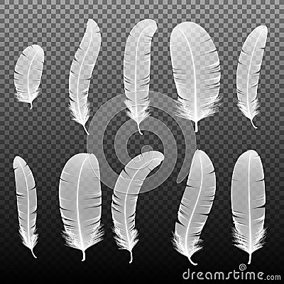 Set of various white bird feathers on a black background. Collection 3d realistic style soft fluffy macro swan vector Vector Illustration