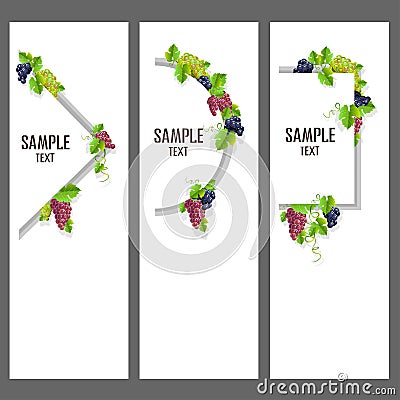 Set of vector banners with bunches of grapes Vector Illustration