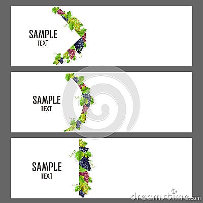 Set of vector banners with bunches of grapes Vector Illustration