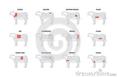Set of vector beef steak diagram banner. American meat cutting. Cow silhouette with red zone markup and text isolated on white Stock Photo