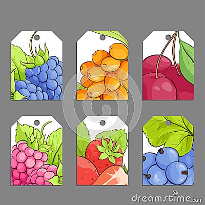 Vector berry labels Vector Illustration