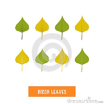Vector birch leaves on white background Stock Photo