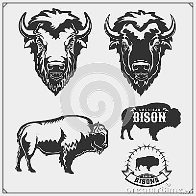 Set of vector Bison silhouettes and illustration. Print design for t-shirt. Emblem design template. Vector Illustration