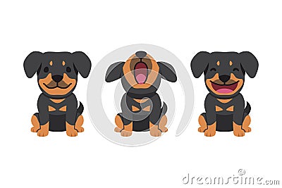 Set of vector cartoon character cute rottweiler dog Vector Illustration