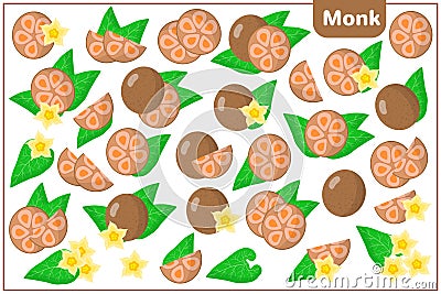 Set of vector cartoon illustrations with Monk exotic fruits, flowers and leaves isolated on white background Cartoon Illustration