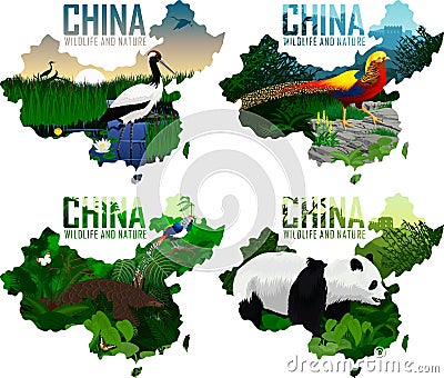 Set of vector china maps with animals: Pangolin, diamond pheasant, Golden pheasant, Red-crowned crane, and panda Cartoon Illustration