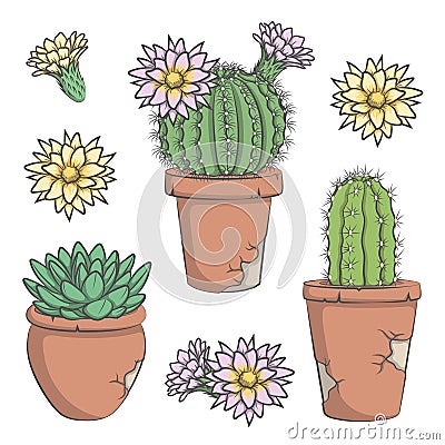 Set of vector colored cactus with flowers in old pots. EPS10 Vector Illustration