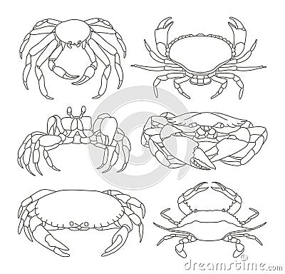 Set of vector crab icons Vector Illustration