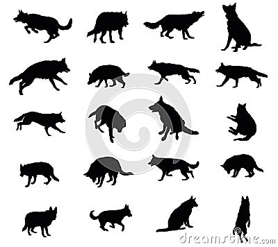 Set of vector dogs Vector Illustration