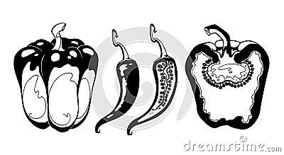 Set of vector drawing of sweet pepper Vector Illustration