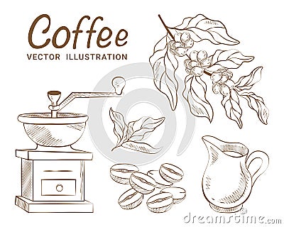 Set of vector drawings of coffee teapot coffee tree coffee grinder jug coffee beans Vector Illustration