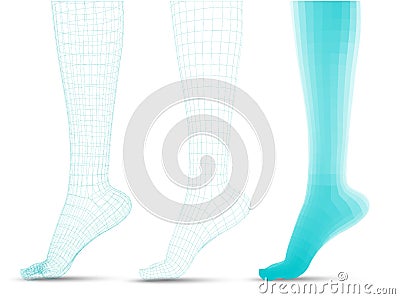 set of vector female legs. 3d illustration of lifting the leg. health and choice of shoes Vector Illustration