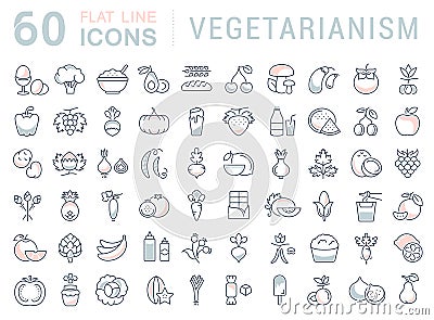 Set Vector Flat Line Icons Vegetarianism Stock Photo