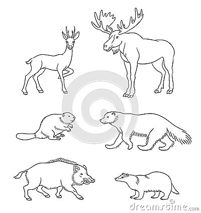 Set of vector forest animals in contours Vector Illustration