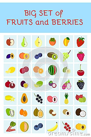 Set of vector fruits and berries Vector Illustration