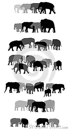 Set of vector group of elephants Vector Illustration