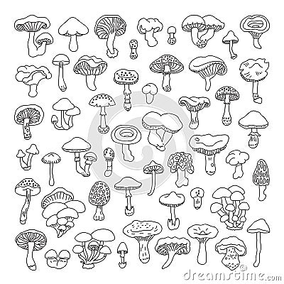 Set of vector hand-drawn, doodles mushrooms. Vector Illustration