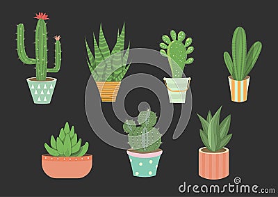 Set of vector hand drawn isolated cactus,Cute green cactus in flower ,illustrations. Vector Illustration