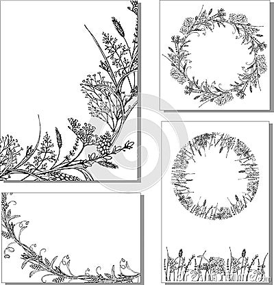 Vector floral illustration whit herbs Vector Illustration