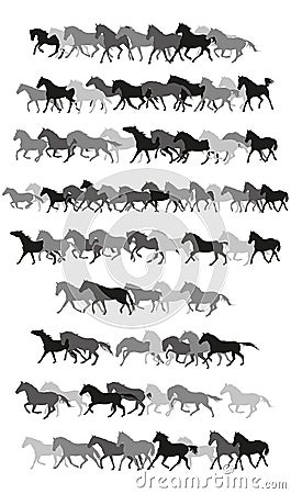 Set of vector horses silhouettes in black and grey Vector Illustration