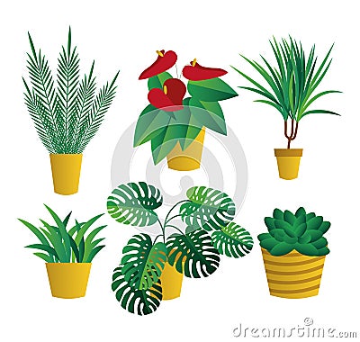 Set of house indoor plants, potted plants collection on white background. Flat design. Garden Stock Photo