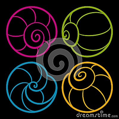 Set of vector iconic round shells Vector Illustration