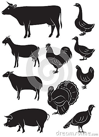 Set vector icons with farm animals and birds Vector Illustration