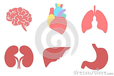 Set vector icons of human internal organs. Brain, liver, stomach, heart, lungs, kidneys illustration. Suitable for print, web and Cartoon Illustration